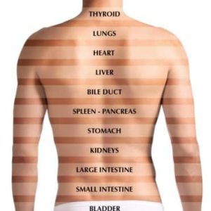 Wave21 - Health Boost and Fat Reduction